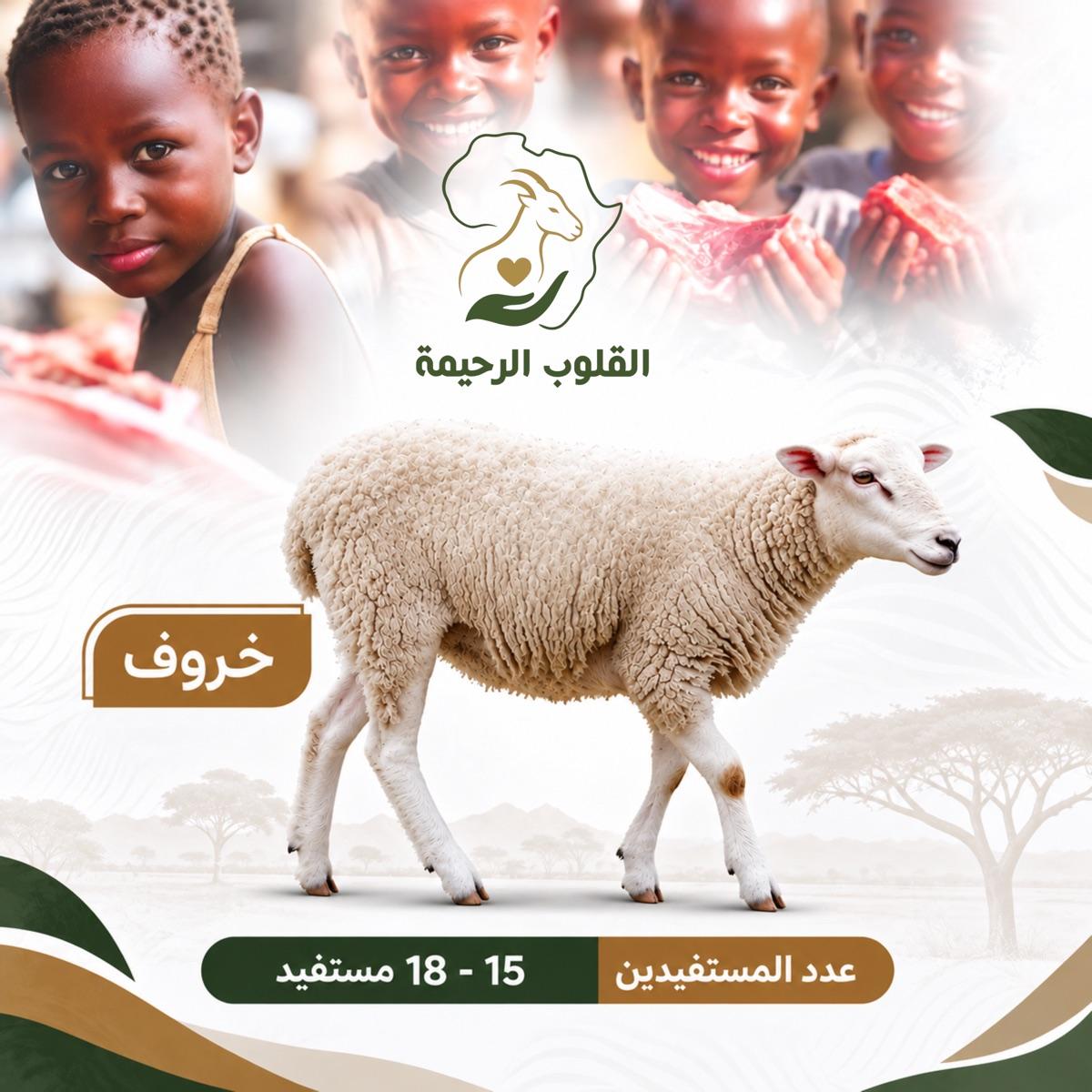 خروف